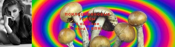 мяу мяу кристалл Нефтекумск
