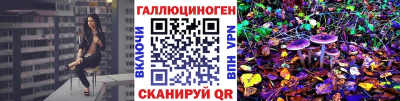 kraken вход  закладки  Нахабино  Галлюциногенные грибы GOLDEN TEACHER 
